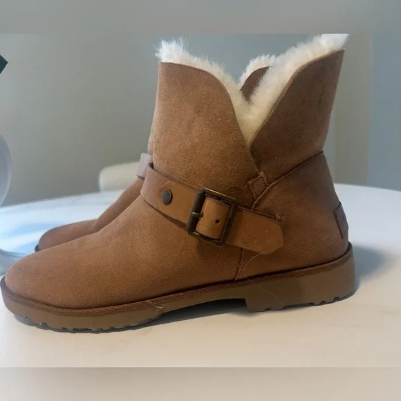 UGG | Shoes | Ugg Chestnut Shearling Lined Boots | Poshmark display picture 1